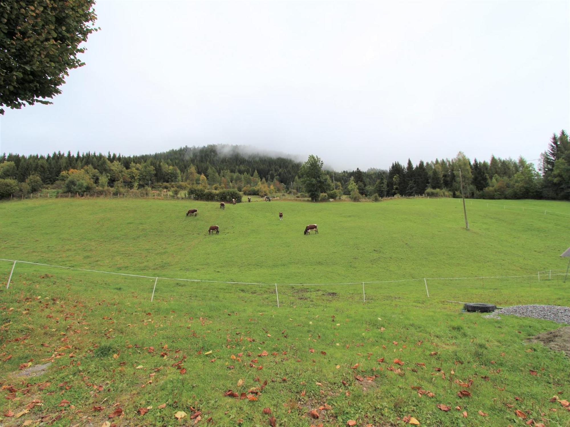 Characterful Old Farmhouse With 4 Apartments In Fresach Carinthia With Garden Esterno foto